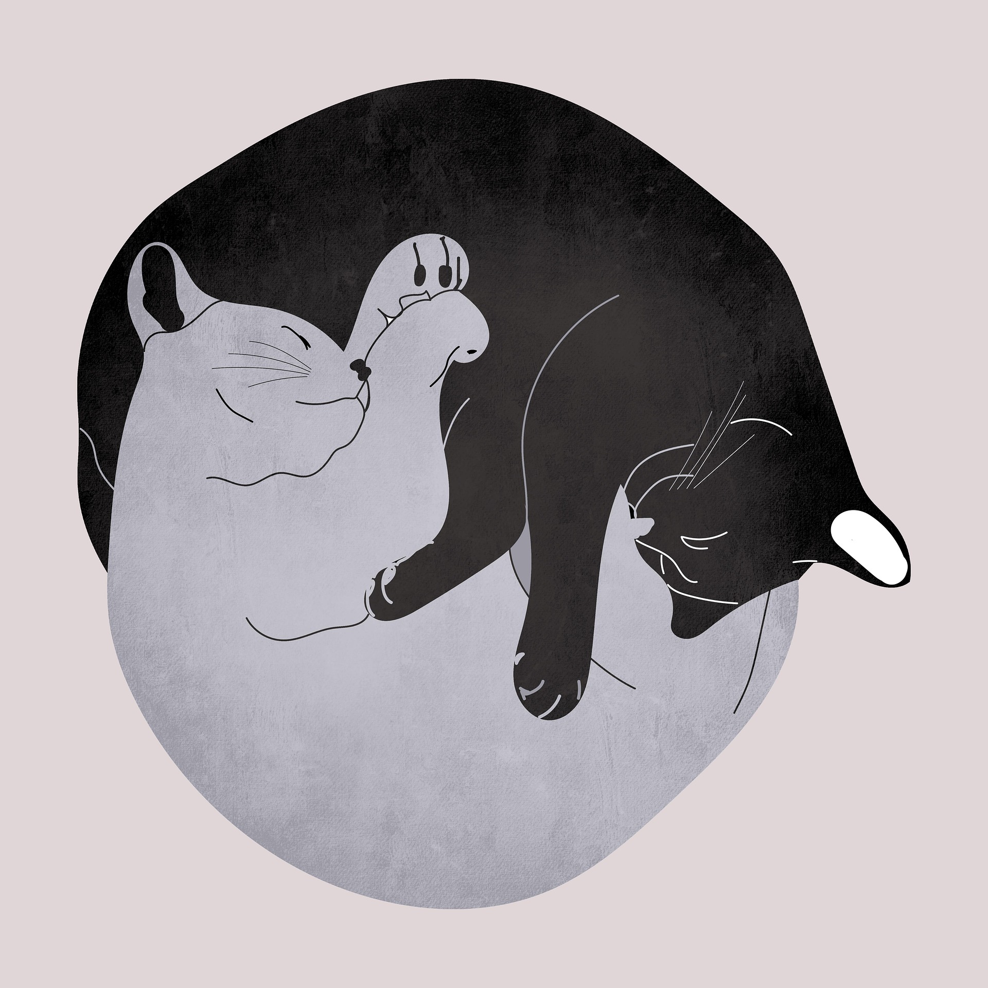 Ying ‘n’ Yang